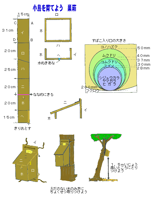 四国森林管理局 巣箱の作り方