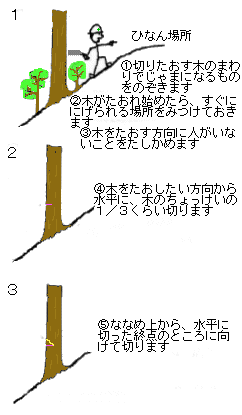 間伐の方法1.2.3