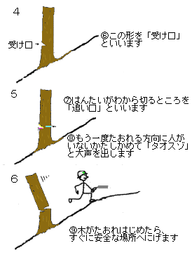 間伐の方法4.5.6