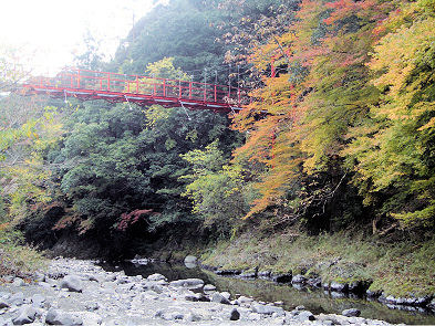 ニッセイ窪川（くぼかわ）の森（写真は近くの渓谷）