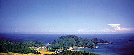 興津三崎風景林（写真は興津峠から見た風景林）