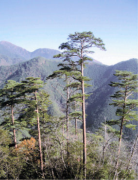 古屋山