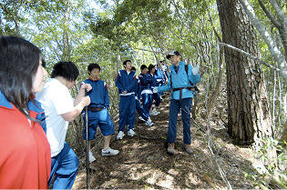 古屋山林木遺伝資源保存林・梶ヶ谷山林木遺伝資源保存林