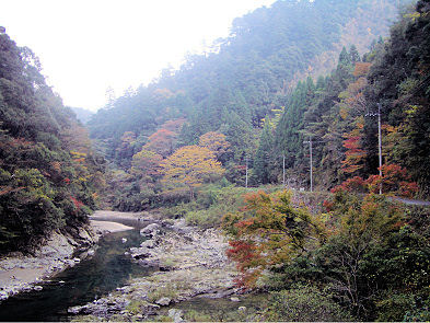 鷹取山植物群落保護林・ゆすはら郷土の森（写真は梼原川と鷹取山）