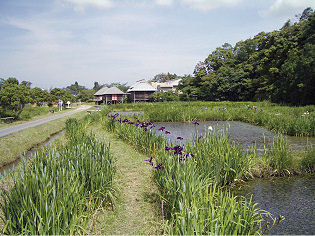 トンボ公園