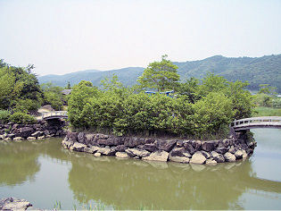 野鳥自然公園