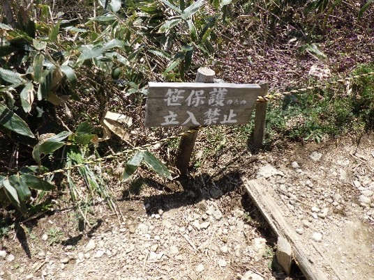 04グリーンサポートスタッフが設置した植生保護のための立入禁止看板とロープの写真