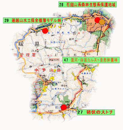 中予山岳流域