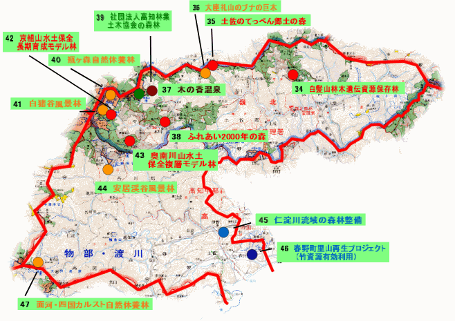 四国の森88