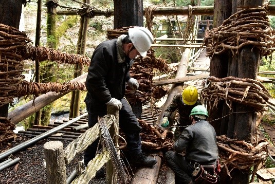 かずら橋の架け替え