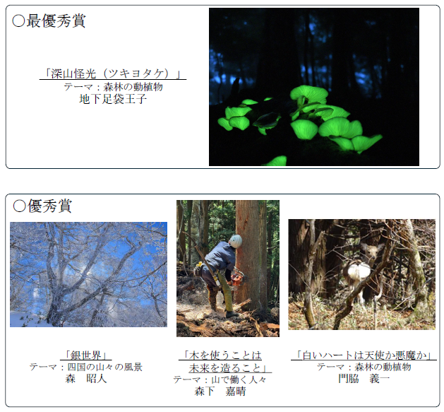 写真部門最優秀賞1点。優秀賞3点。