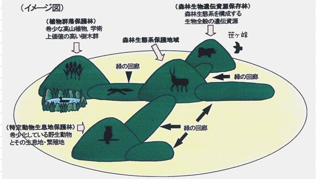 生物多様性_イメージ図