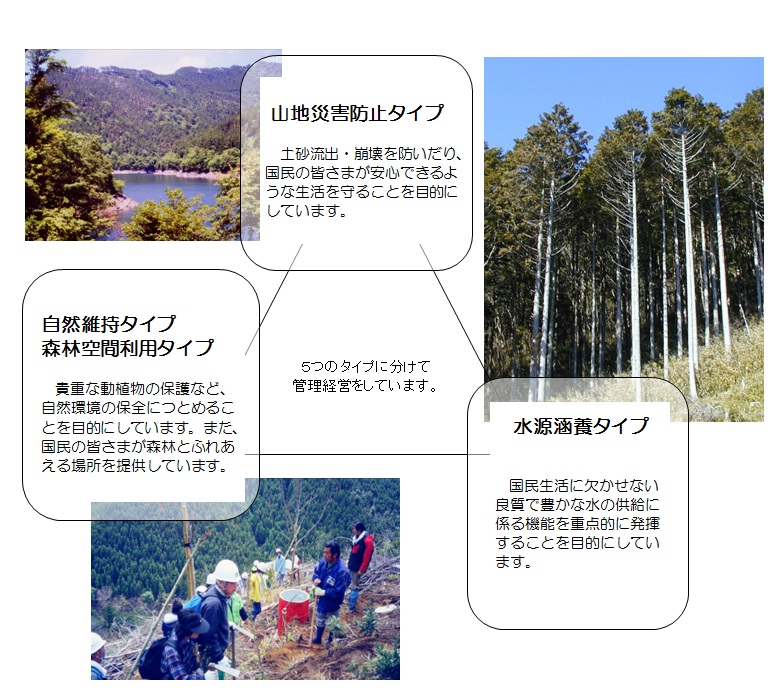 嶺北森林管理署_teipubetu_00