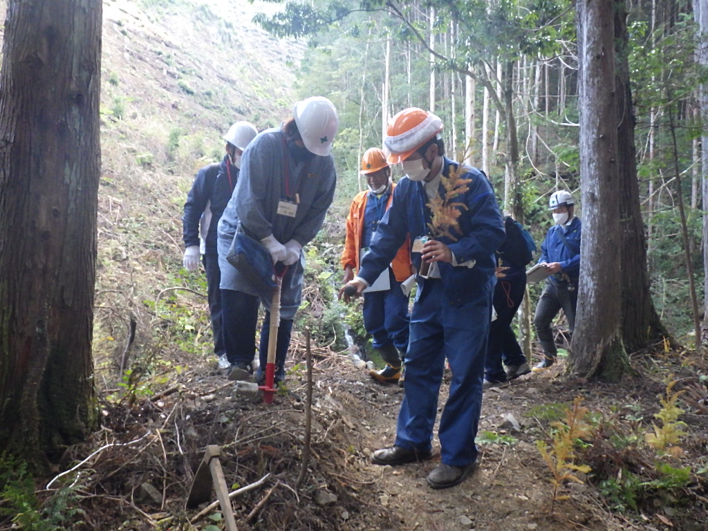  植付するための穴を掘っている様子