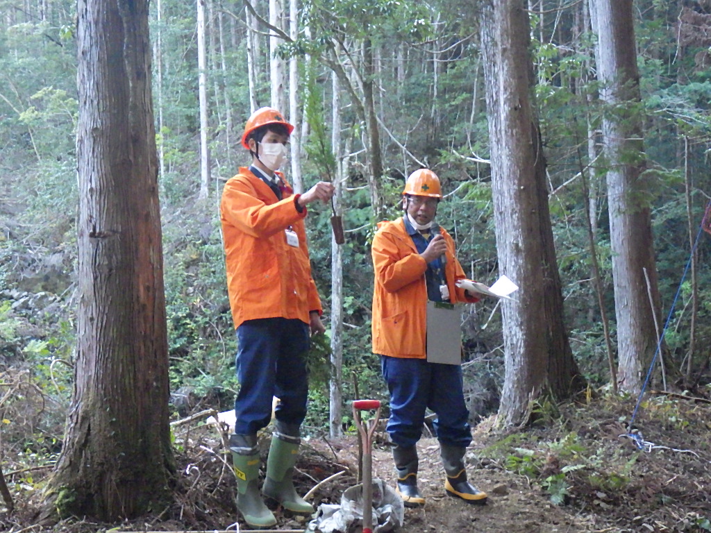 コンテナ苗についての説明を受けている様子