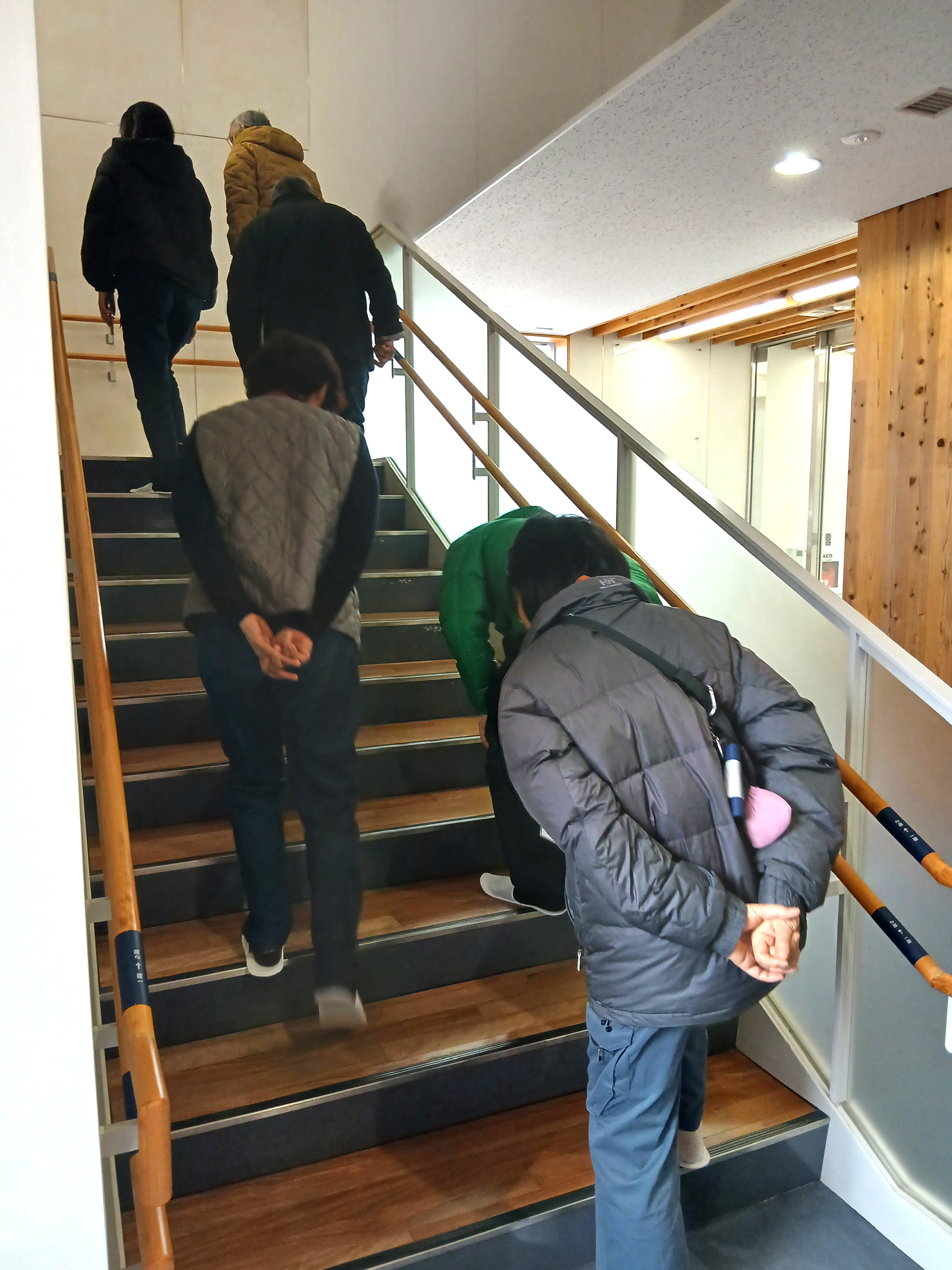 床板を見ている様子