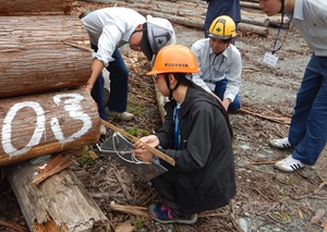 長沢土場での検知