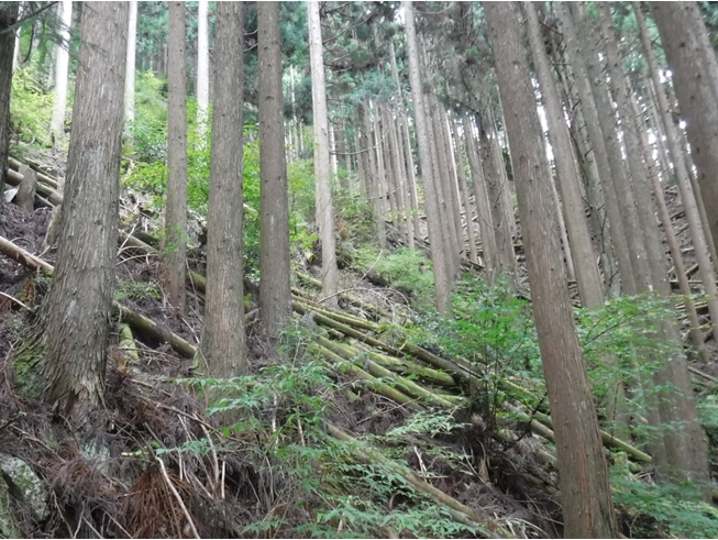 木地奥山1050は1