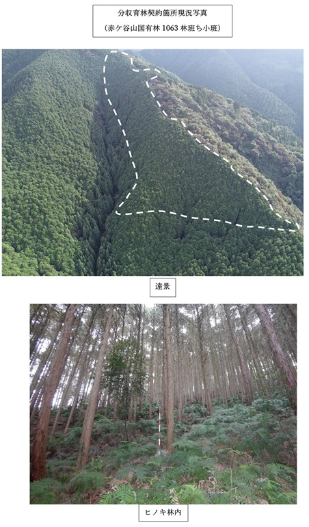愛媛署写真（4号物件）