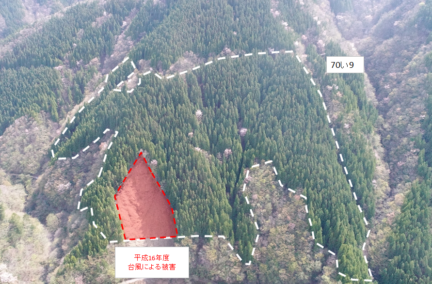 杉ノ熊山70い9