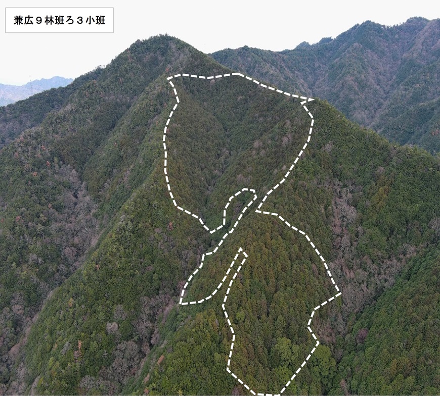 兼広9林班ろ3小班の遠景写真