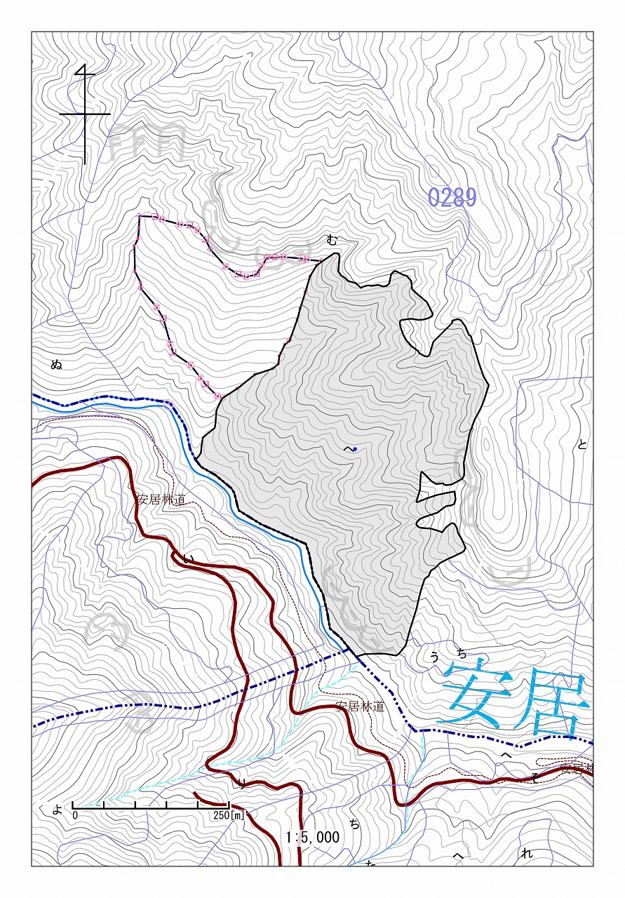 安居山289へ