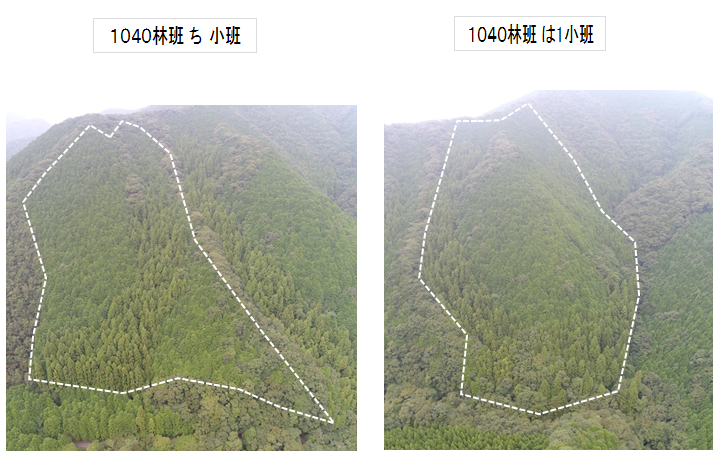 上大物川山1040は1・ち