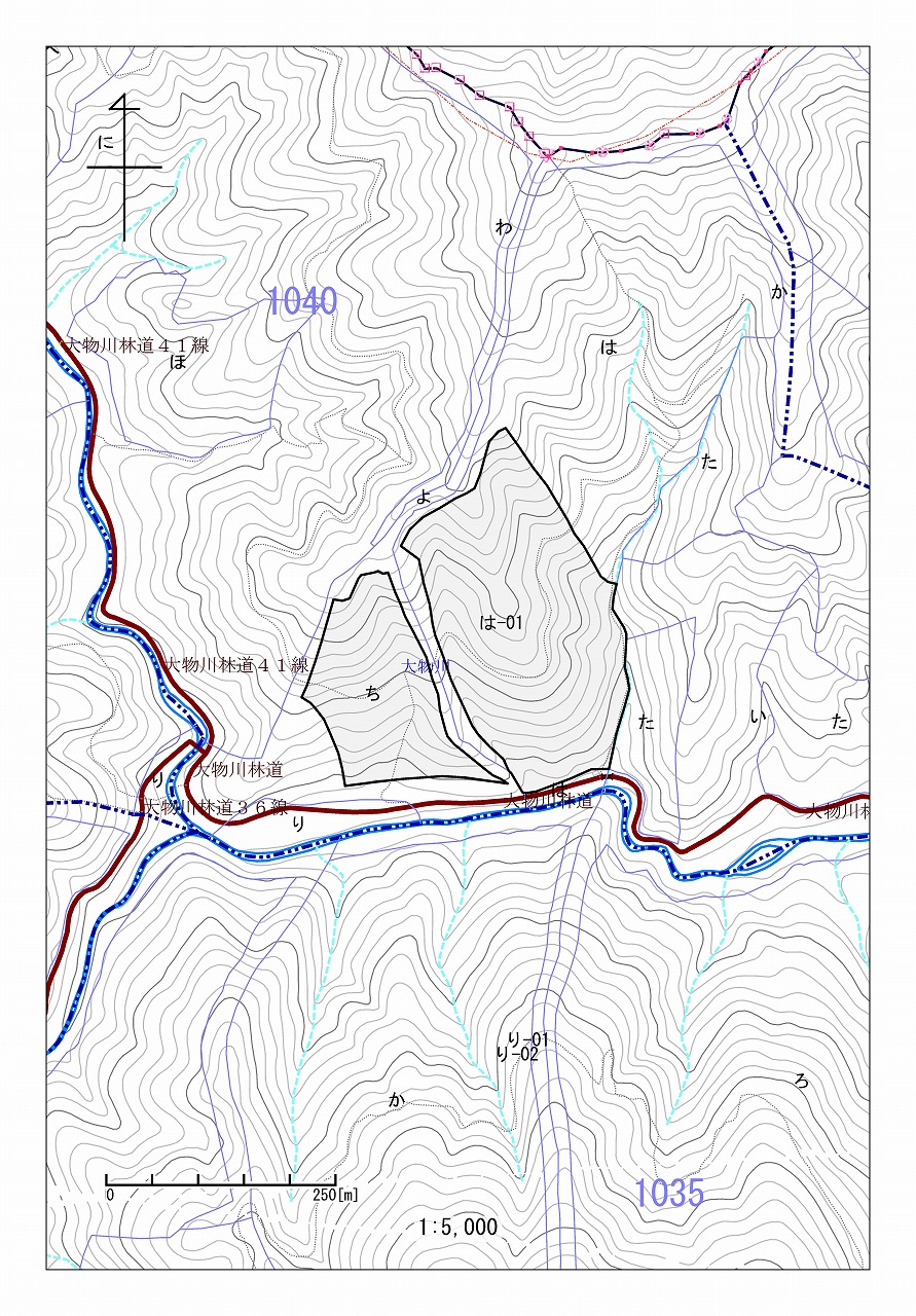 上大物川山1040は1・ち