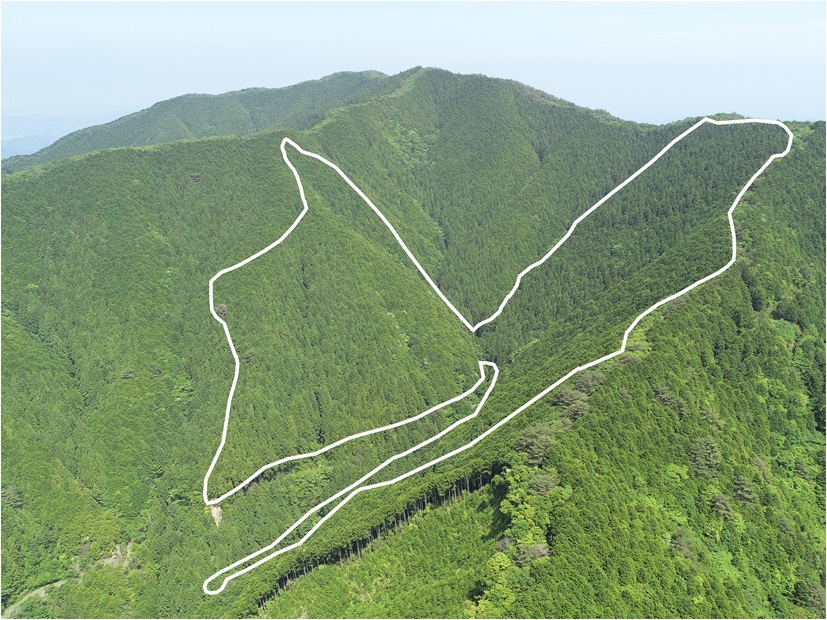 桑ノ又山3219い8林小班の写真