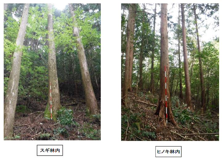 四万十森林管理署_佐川山4053い1