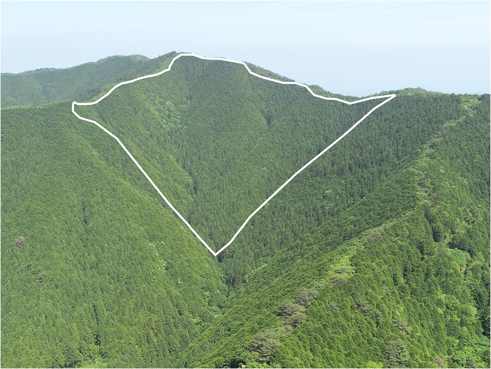 桑ノ又山3219ほ4林小班の写真