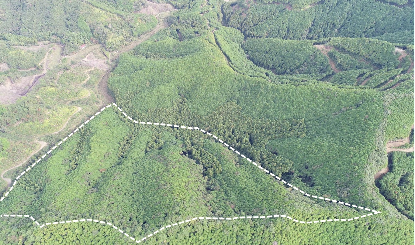 榎郷山1023ろ林小班の遠景写真