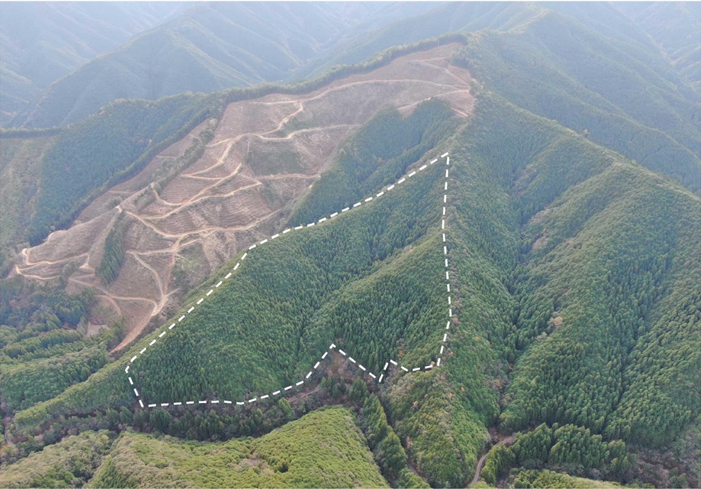 ドローン撮影画像