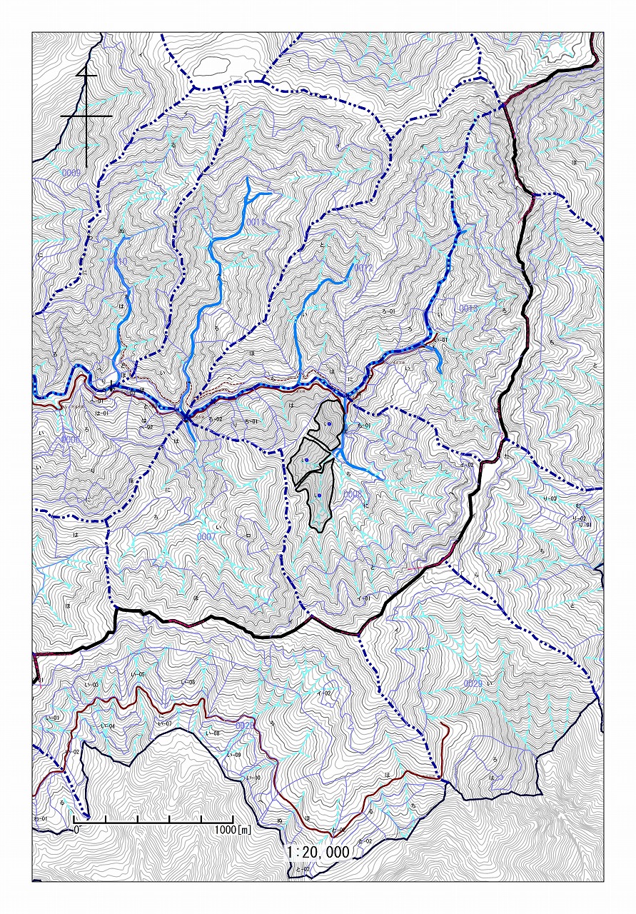 徳島署_祖谷山8い_1/20000