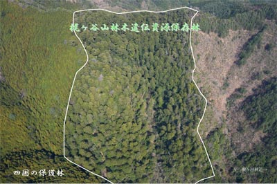 1kajizennkei
