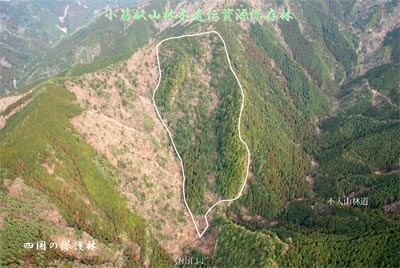 kosujizennkei