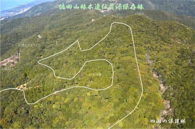 sadazennkei