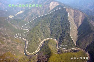 takatorizennkei