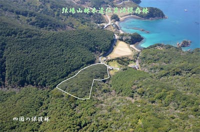 turubazennkei