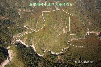 1yanasezennkei