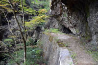 5gougennzai