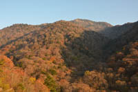 akiturugi