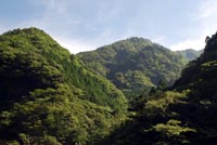 isidateennkei2