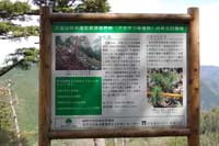 koyayamakannbann