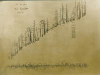 kosujidannmenns11