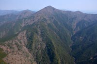 kosujiennkei