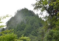 kosujigennzai