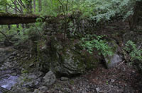 kosujihasi
