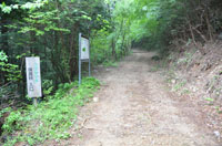 kosujiiriguchi