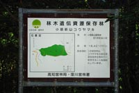 kosujikannbann1
